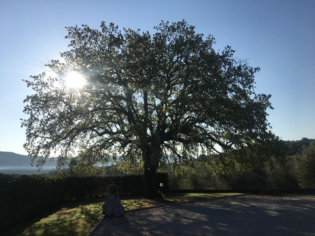 Agriturismo Pian Del Vescovo Massa Marittima Buitenkant foto